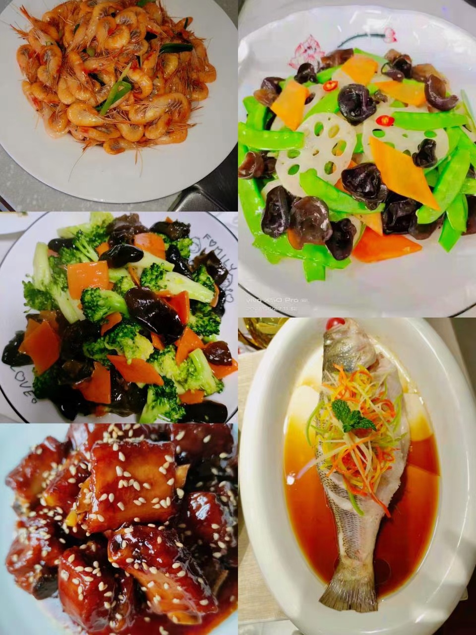 黄阿姨工作生活照1