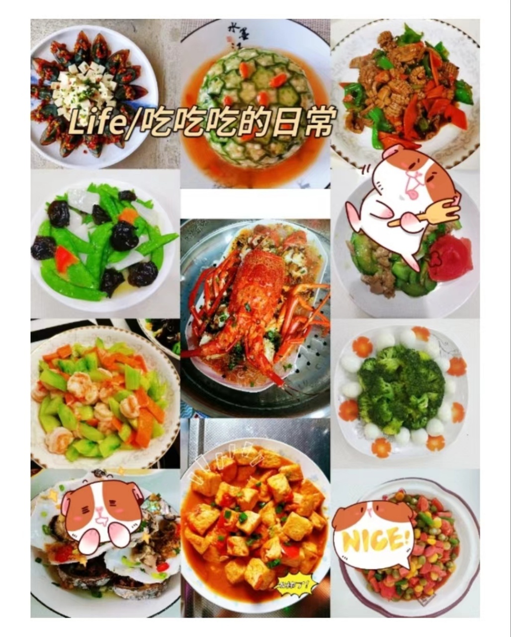 钱阿姨工作生活照12