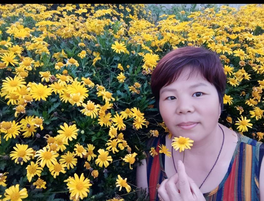 芶阿姨评价图片2