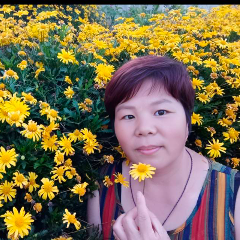 芶阿姨头像