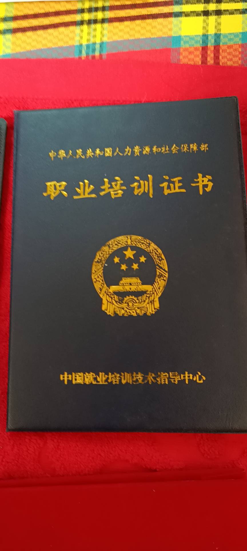 王阿姨职业证书2