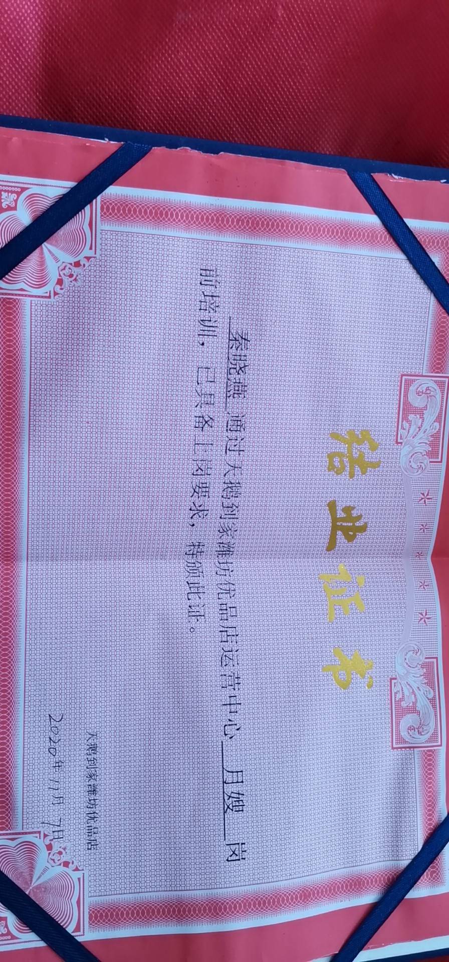 秦阿姨职业证书9