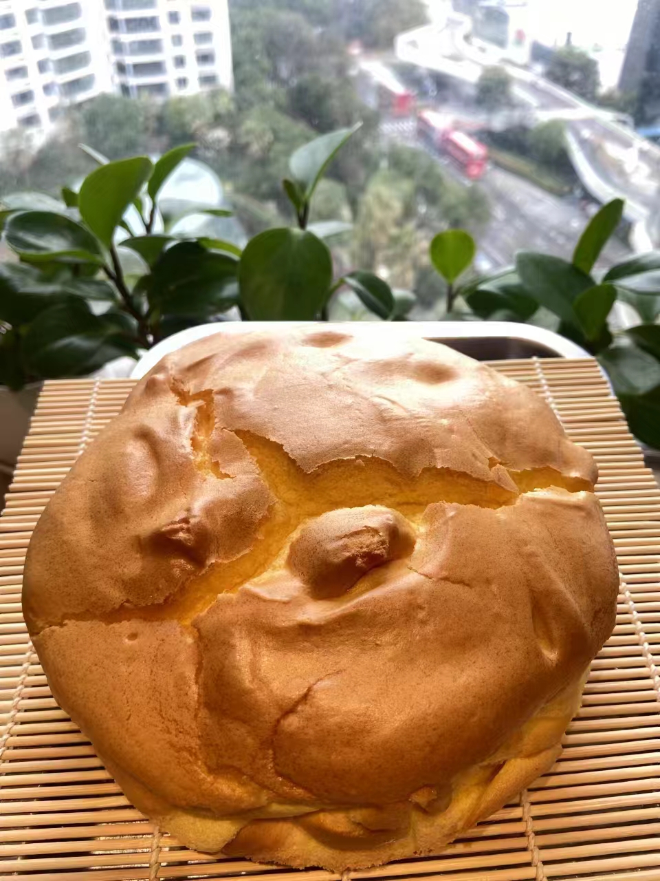 张阿姨缩略图6