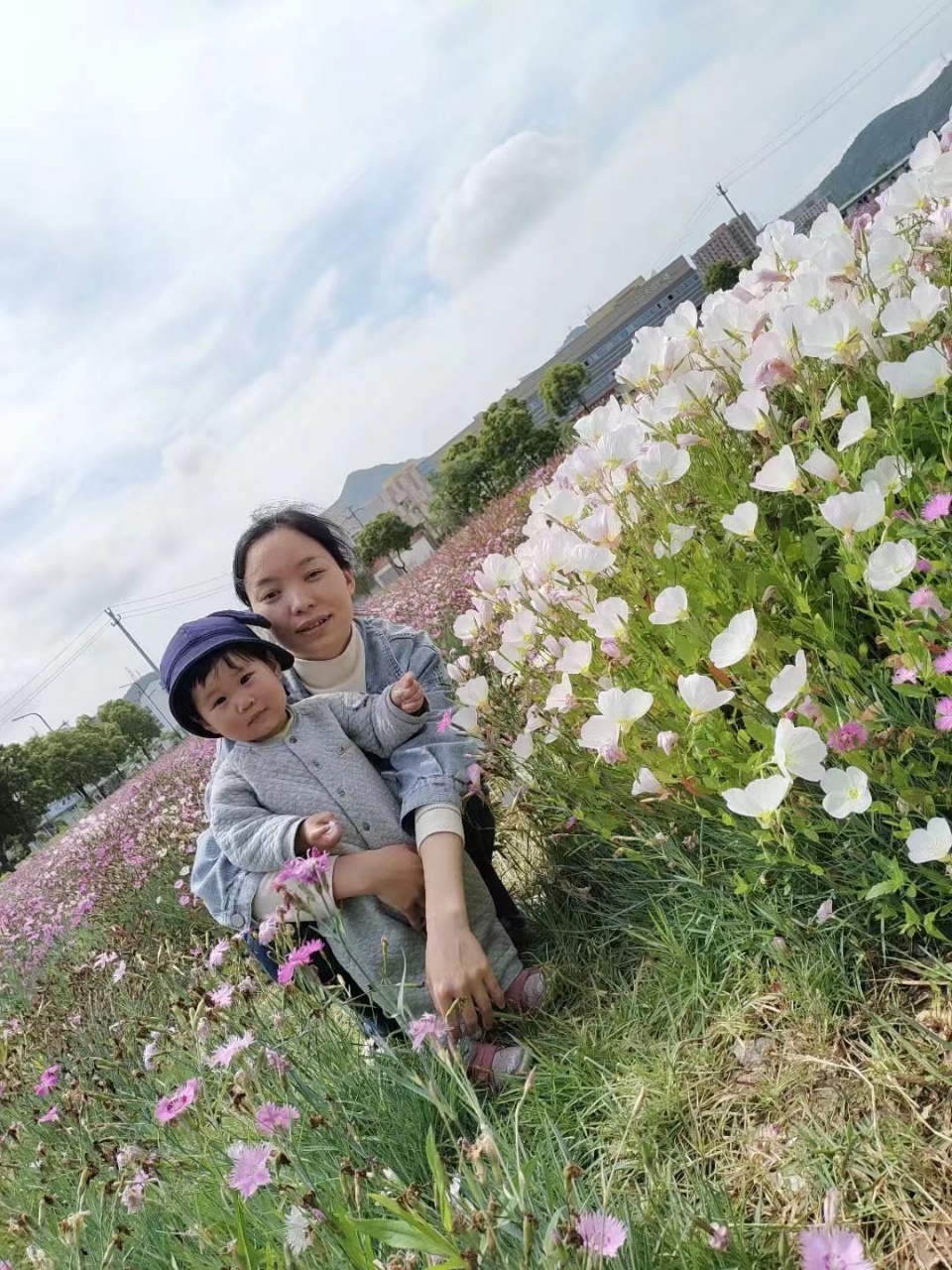 何阿姨缩略图3