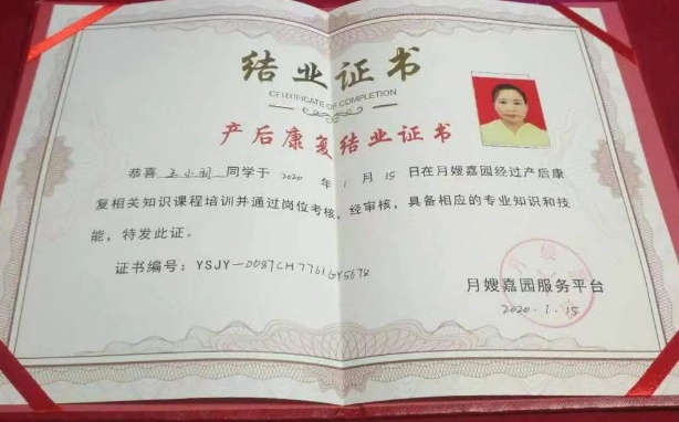 王阿姨职业证书8