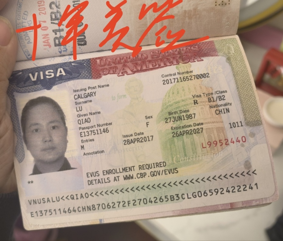 卢阿姨职业证书1