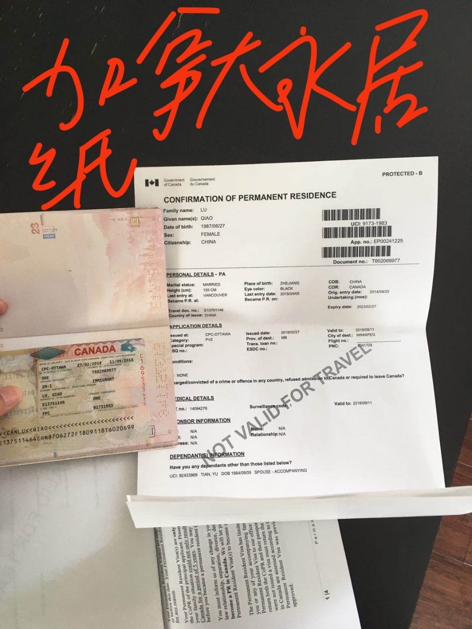卢阿姨职业证书2