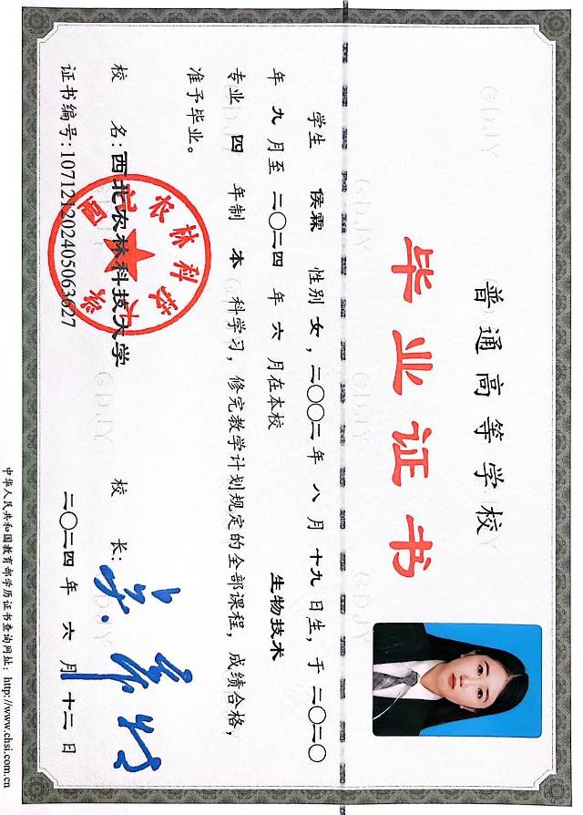 侯阿姨职业证书1