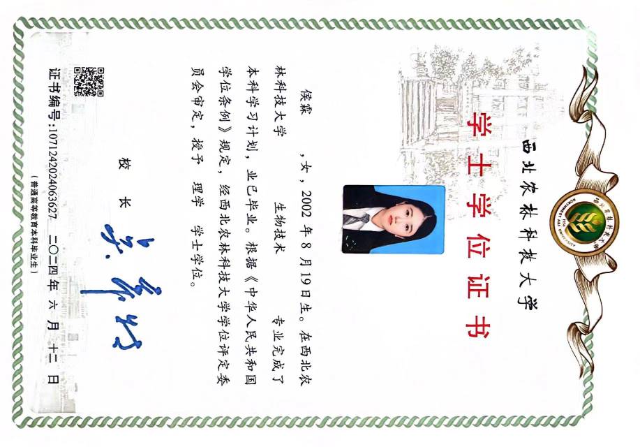 侯阿姨职业证书2