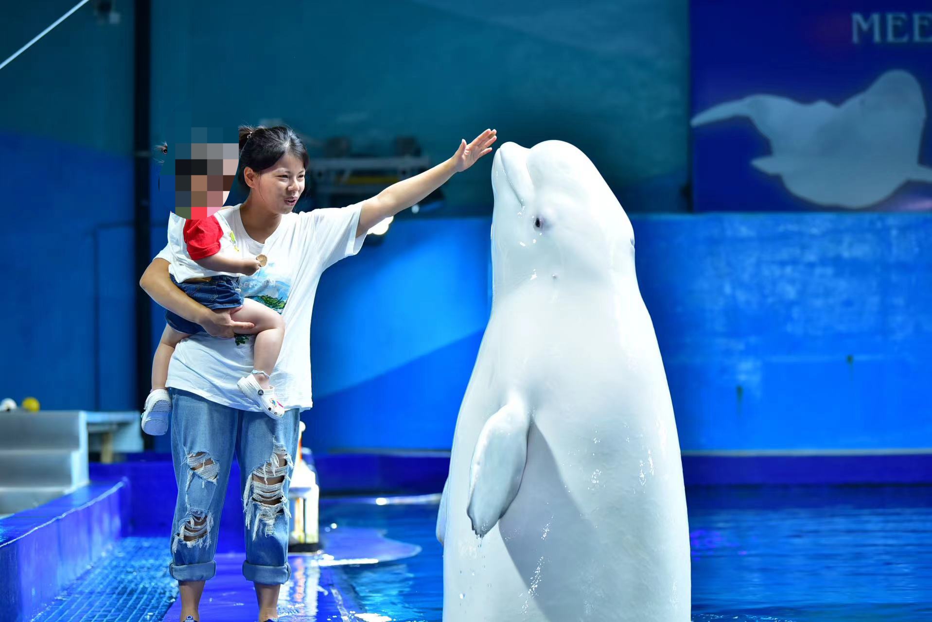 肖阿姨缩略图7