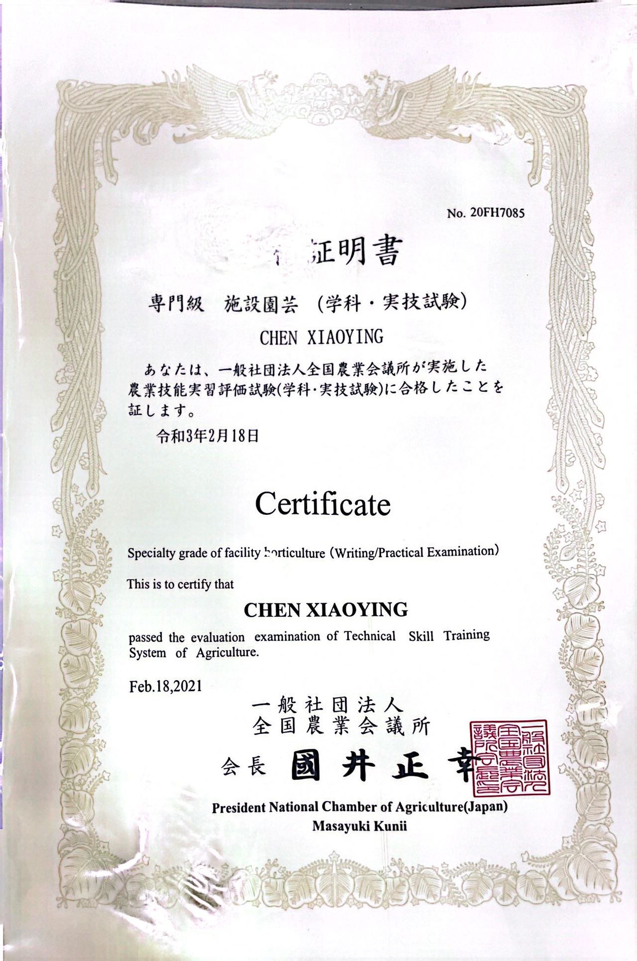 陈阿姨职业证书1