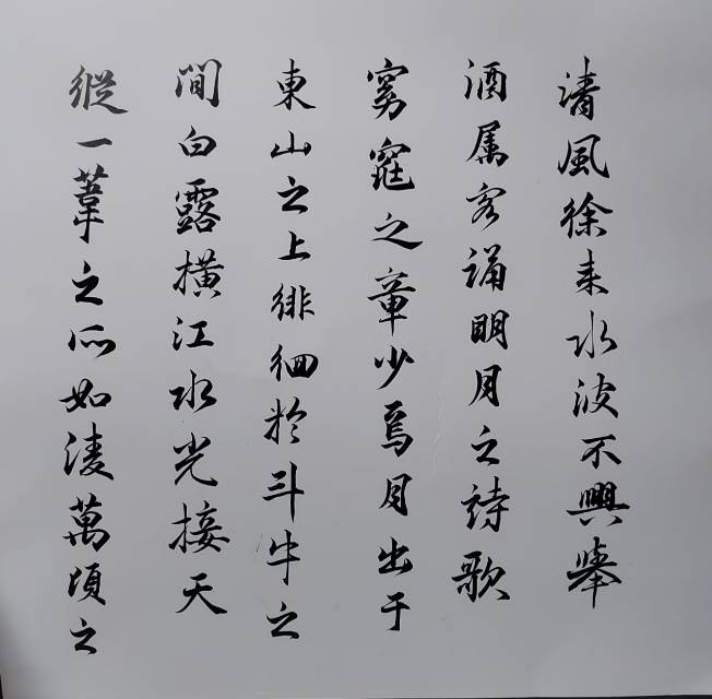 刘阿姨工作生活照7