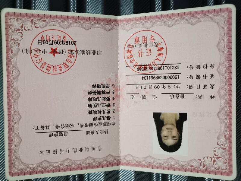 鲁阿姨职业证书4