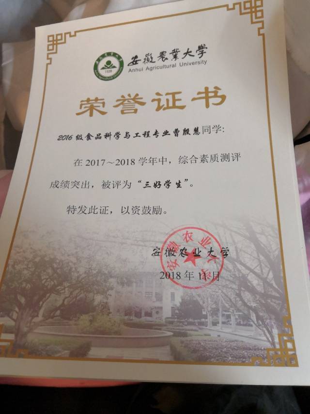 曹阿姨职业证书1