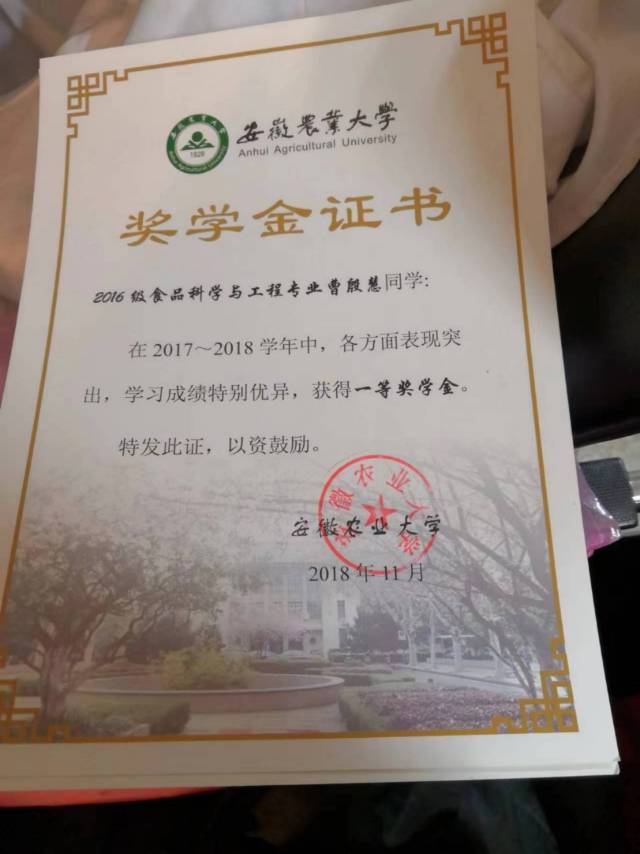 曹阿姨职业证书4