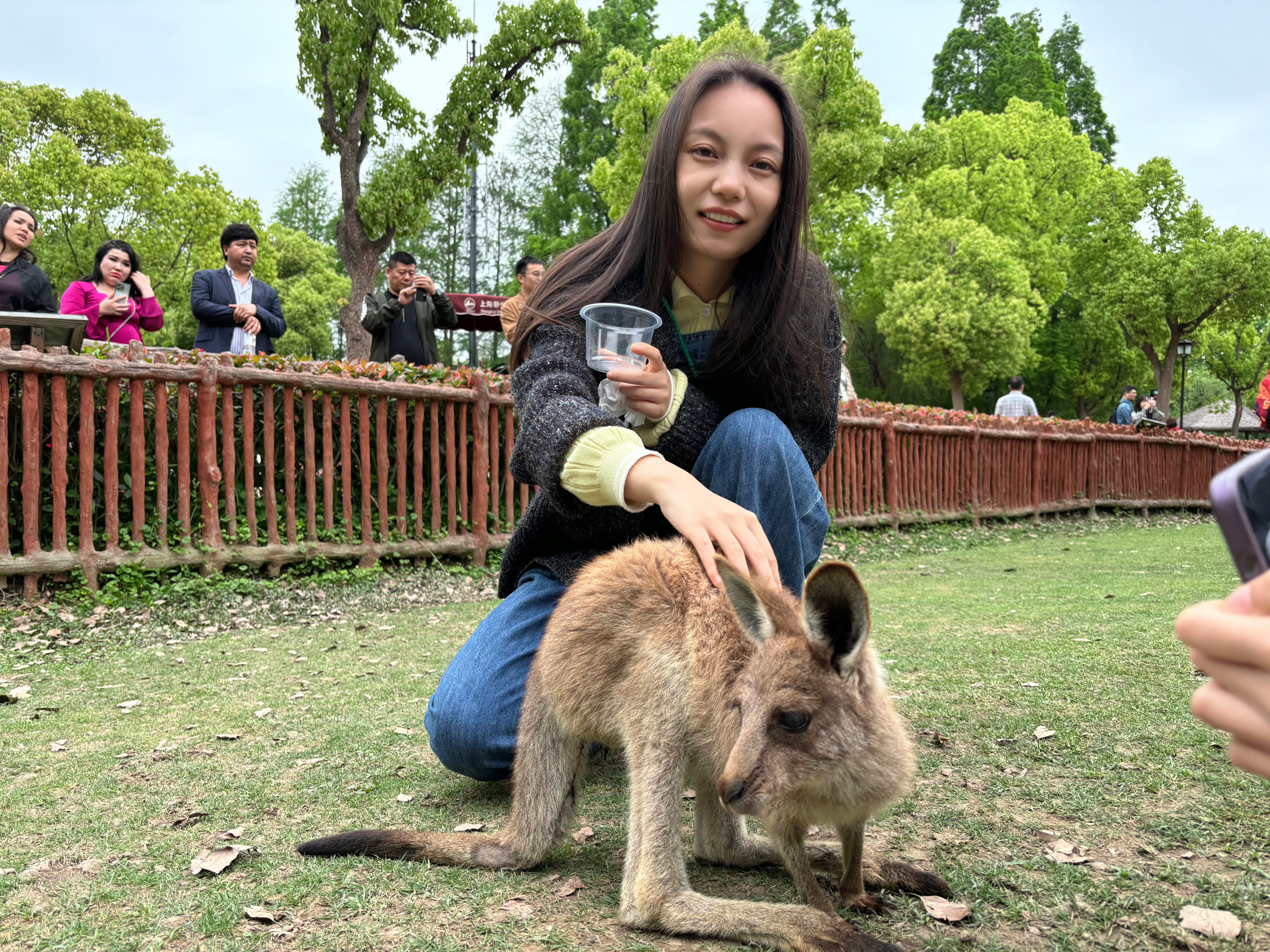 魏阿姨缩略图5