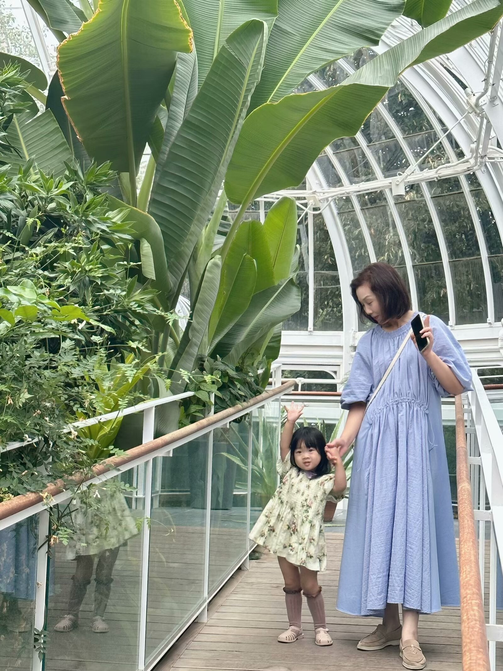 赵阿姨缩略图4