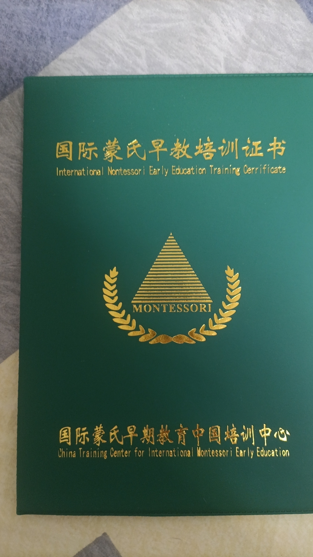马阿姨职业证书2