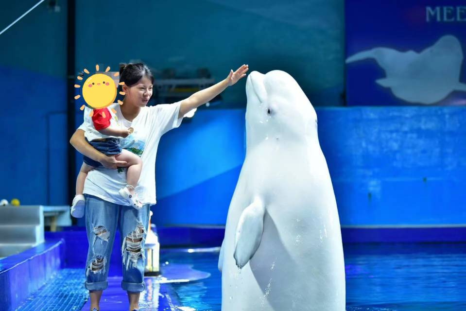 肖阿姨缩略图3