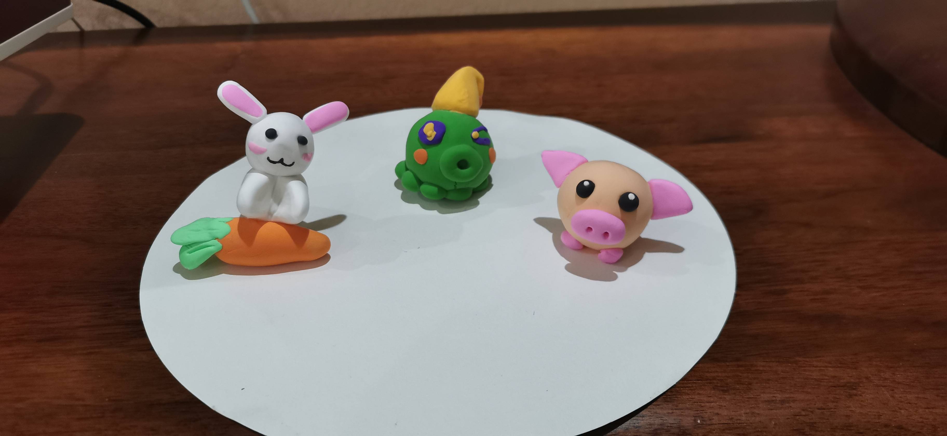 宋阿姨工作生活照8