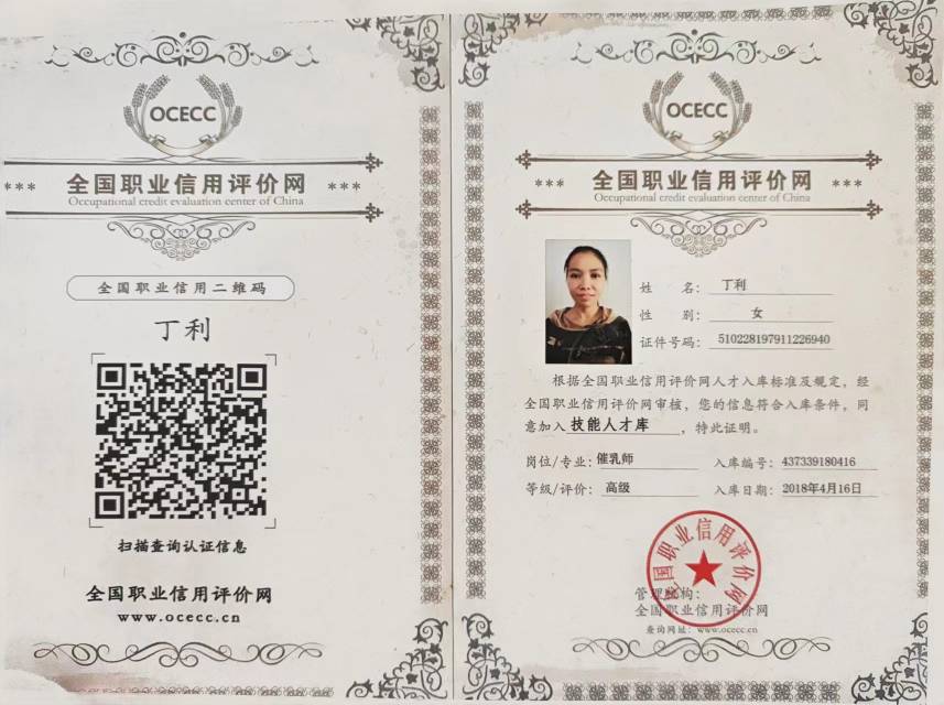丁阿姨职业证书3