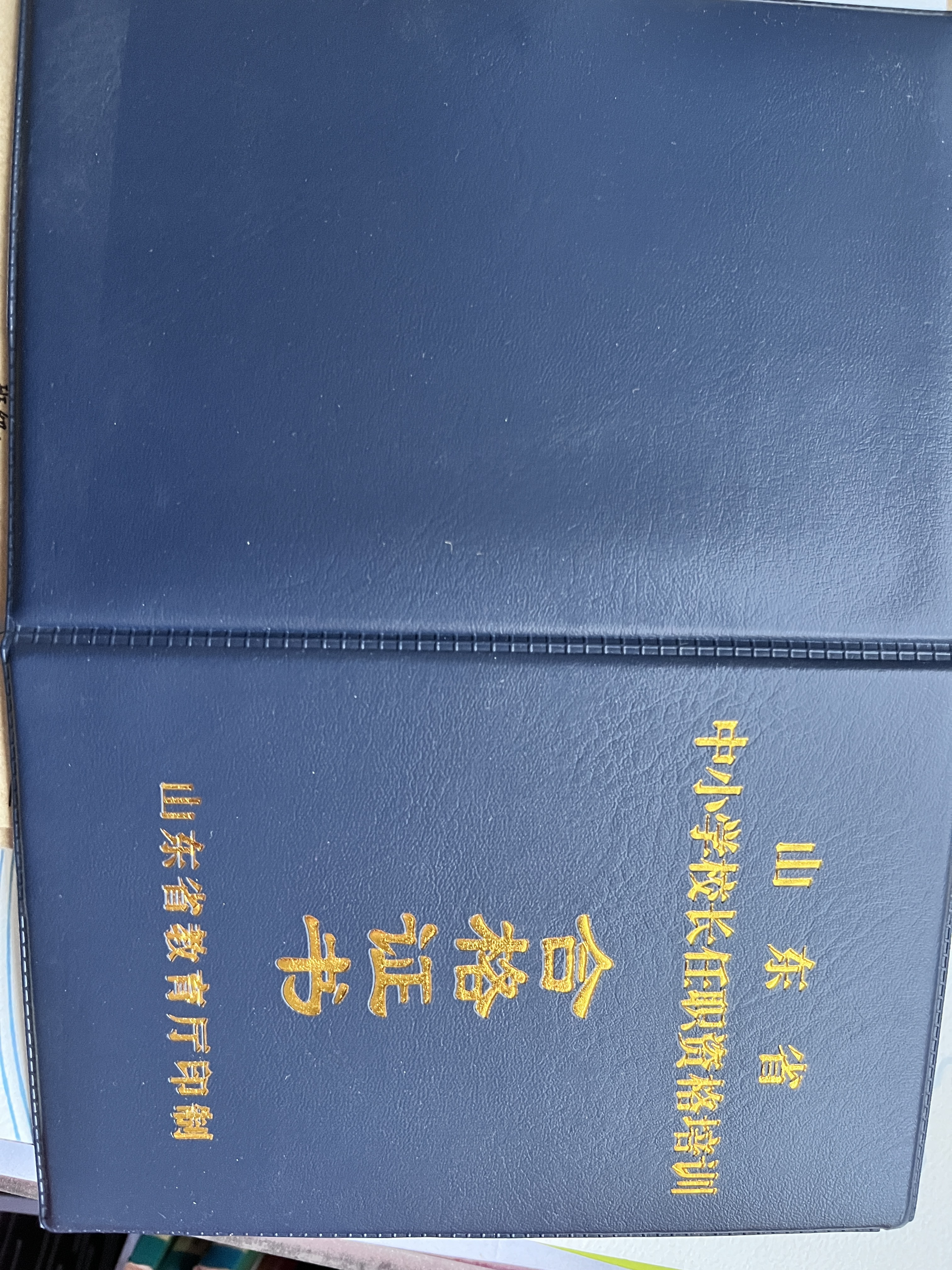 黄阿姨职业证书6