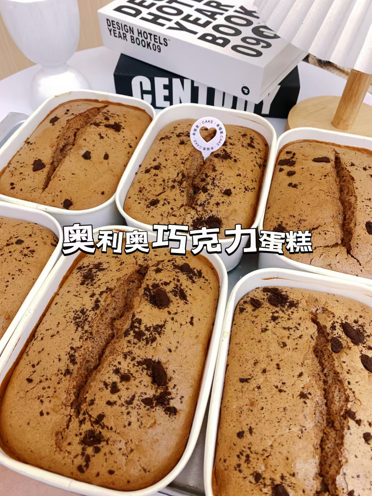 逯阿姨缩略图5