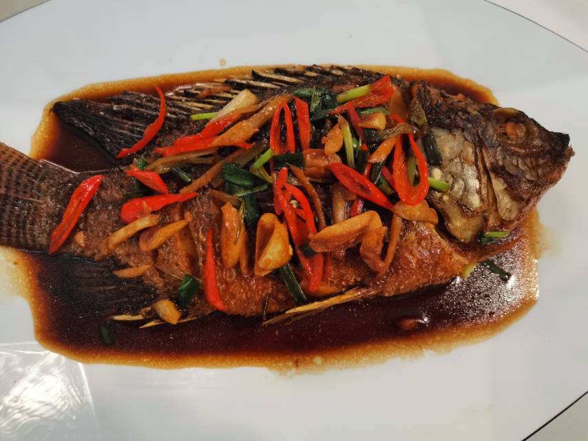沈阿姨工作生活照6