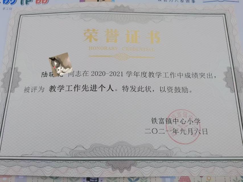 陆阿姨职业证书6