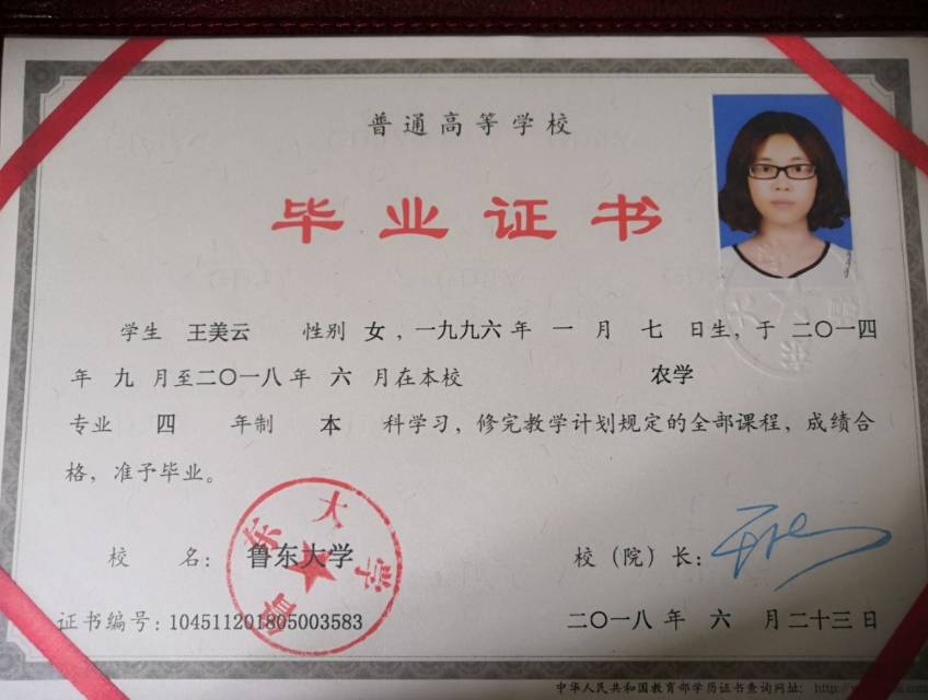 王阿姨缩略图8