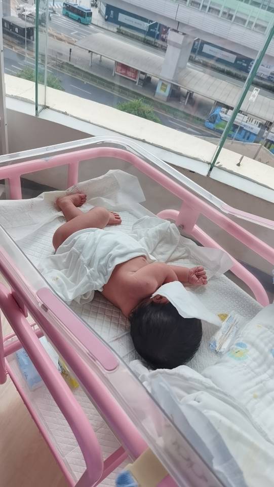 李阿姨缩略图8