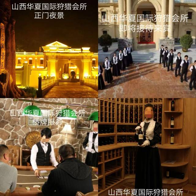 马阿姨缩略图2