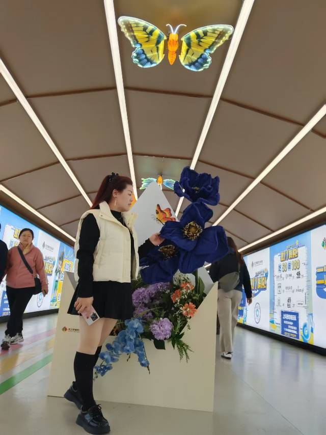 宋阿姨缩略图2