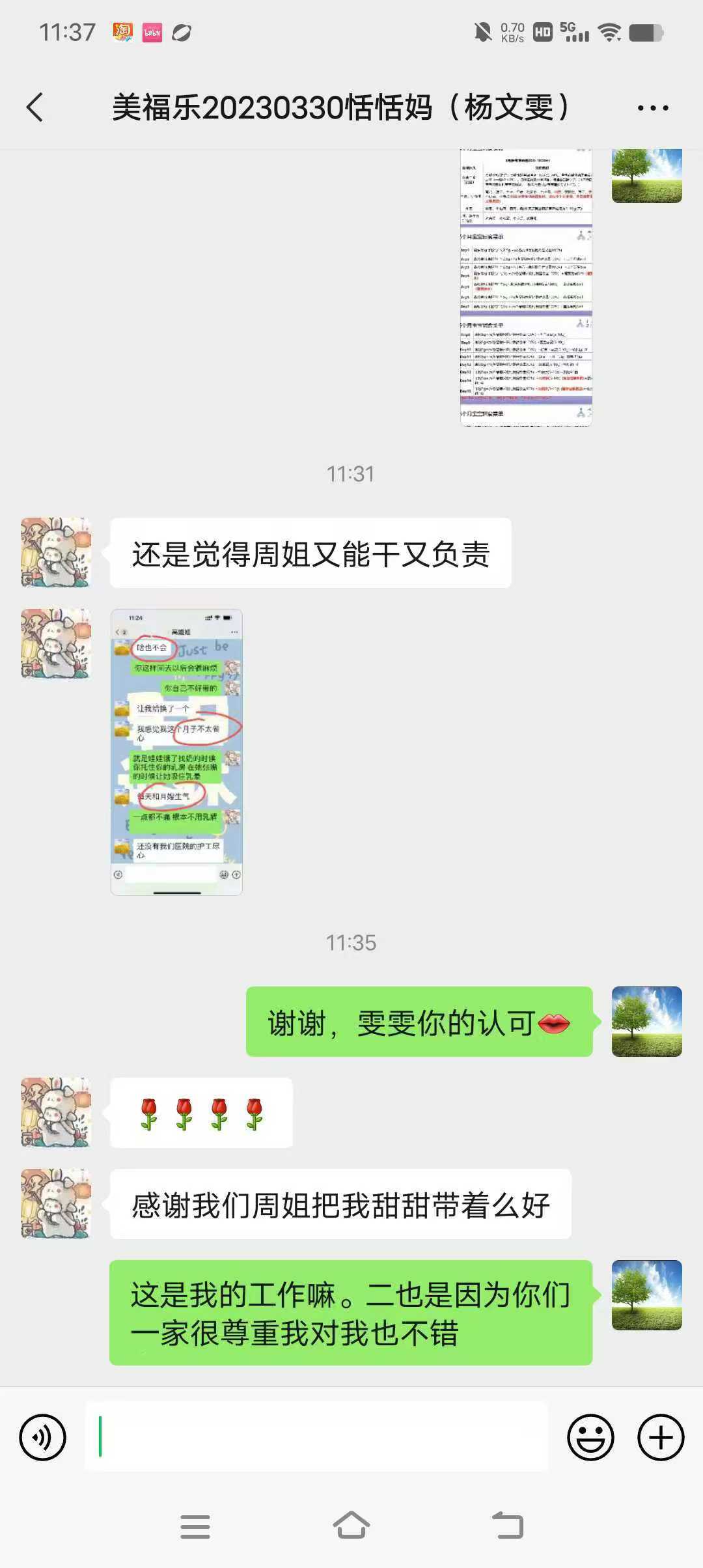 周阿姨职业证书8