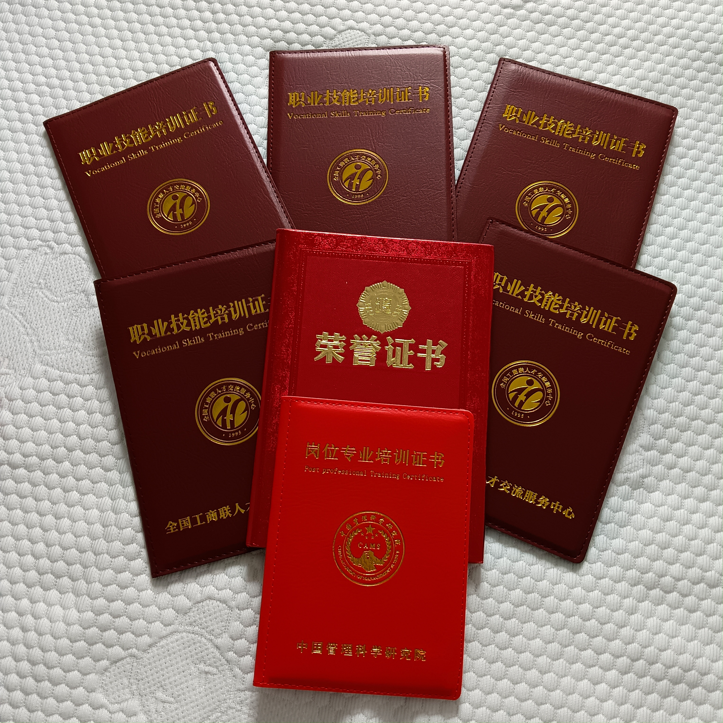夏阿姨职业证书1