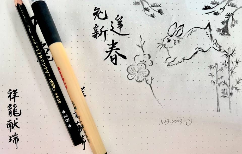 沛阿姨缩略图7