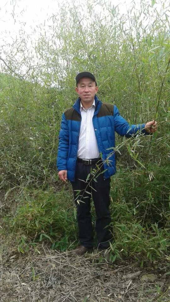 董师傅缩略图3