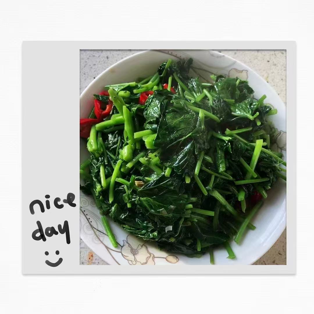 曼阿姨工作生活照8