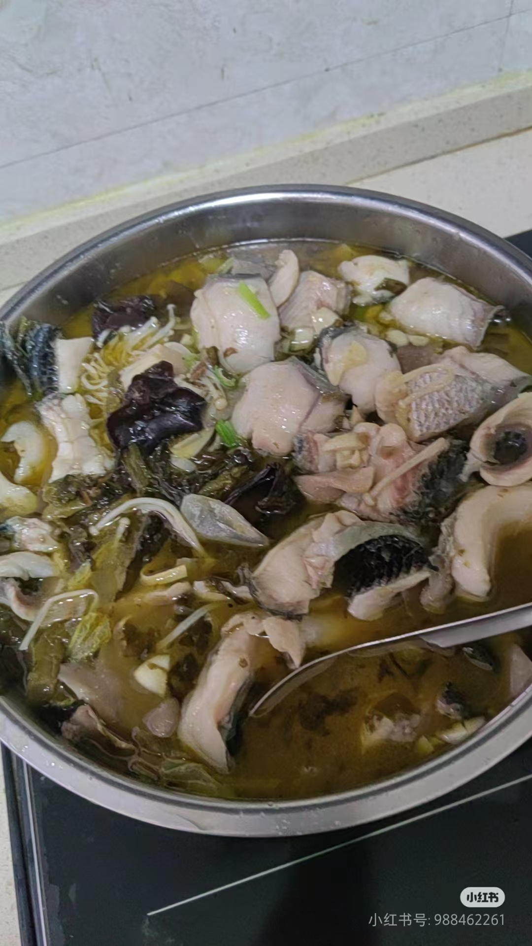 张阿姨缩略图3