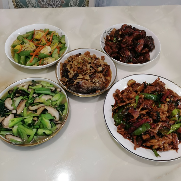 杨阿姨工作生活照4