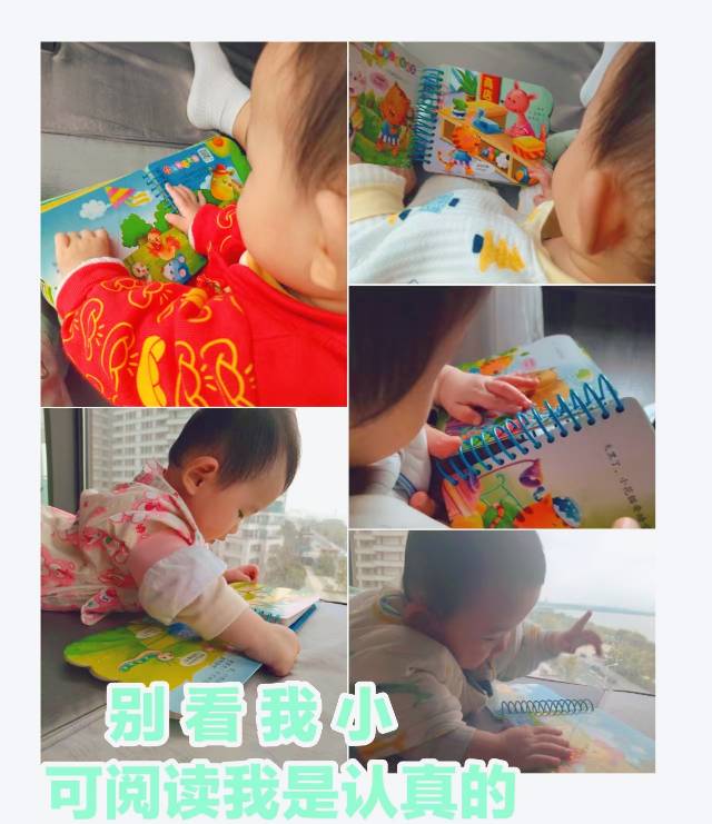 彭阿姨缩略图7