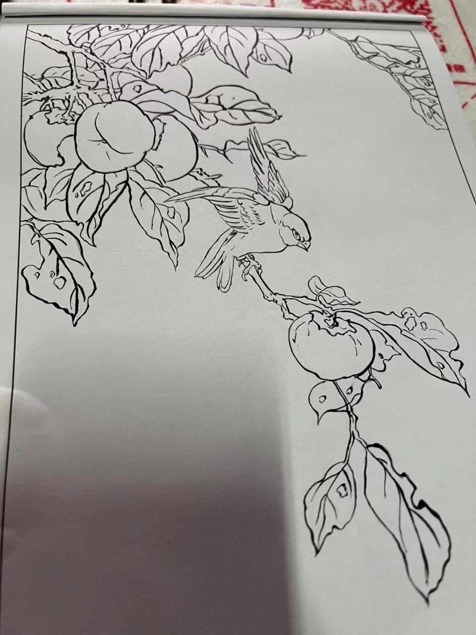 陈阿姨缩略图7