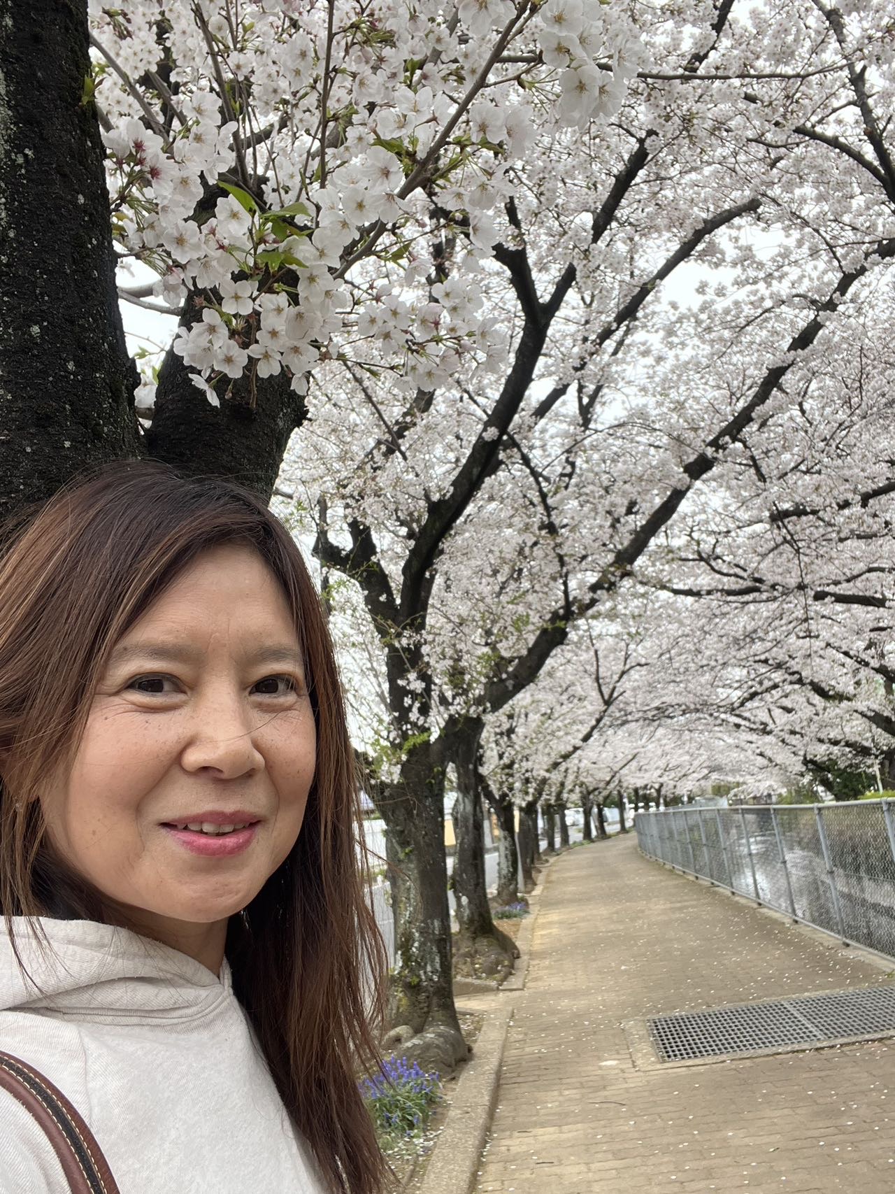 涉外、日本🇯🇵钟点工、老年护理、成长陪伴师、家务师董阿姨公开照片
