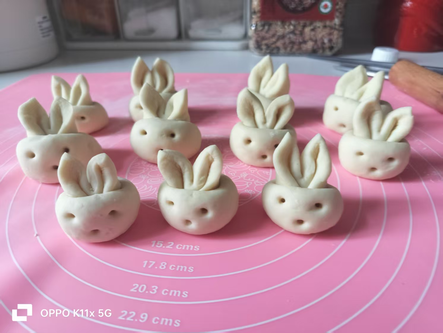 黄阿姨工作生活照3