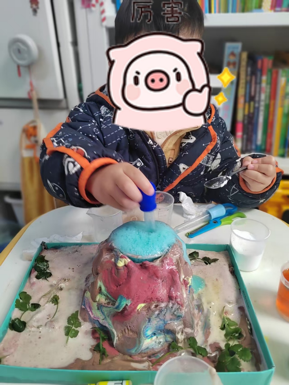 吴阿姨缩略图6