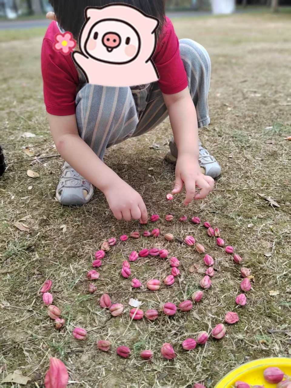 吴阿姨缩略图5