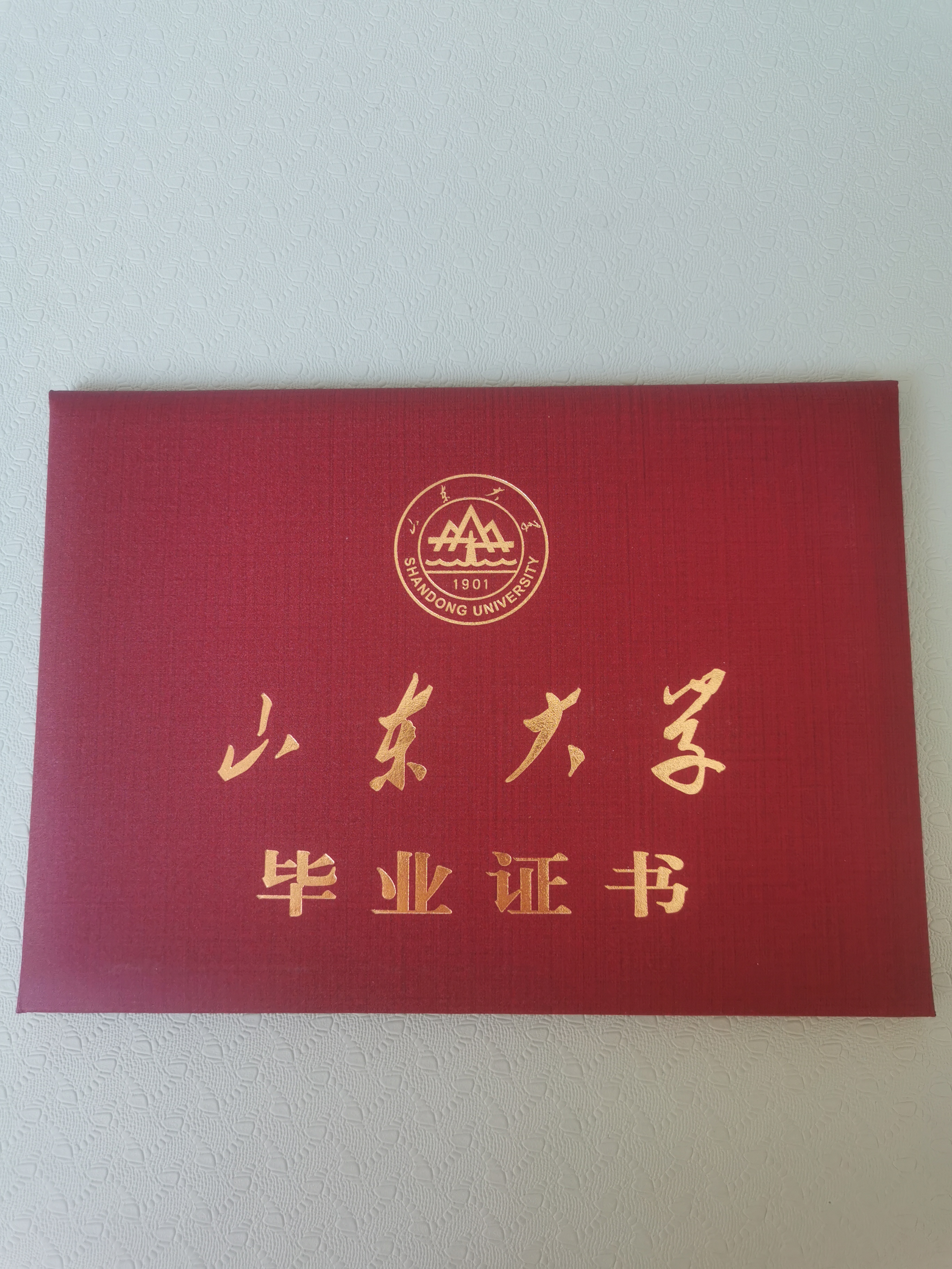 熊阿姨职业证书2