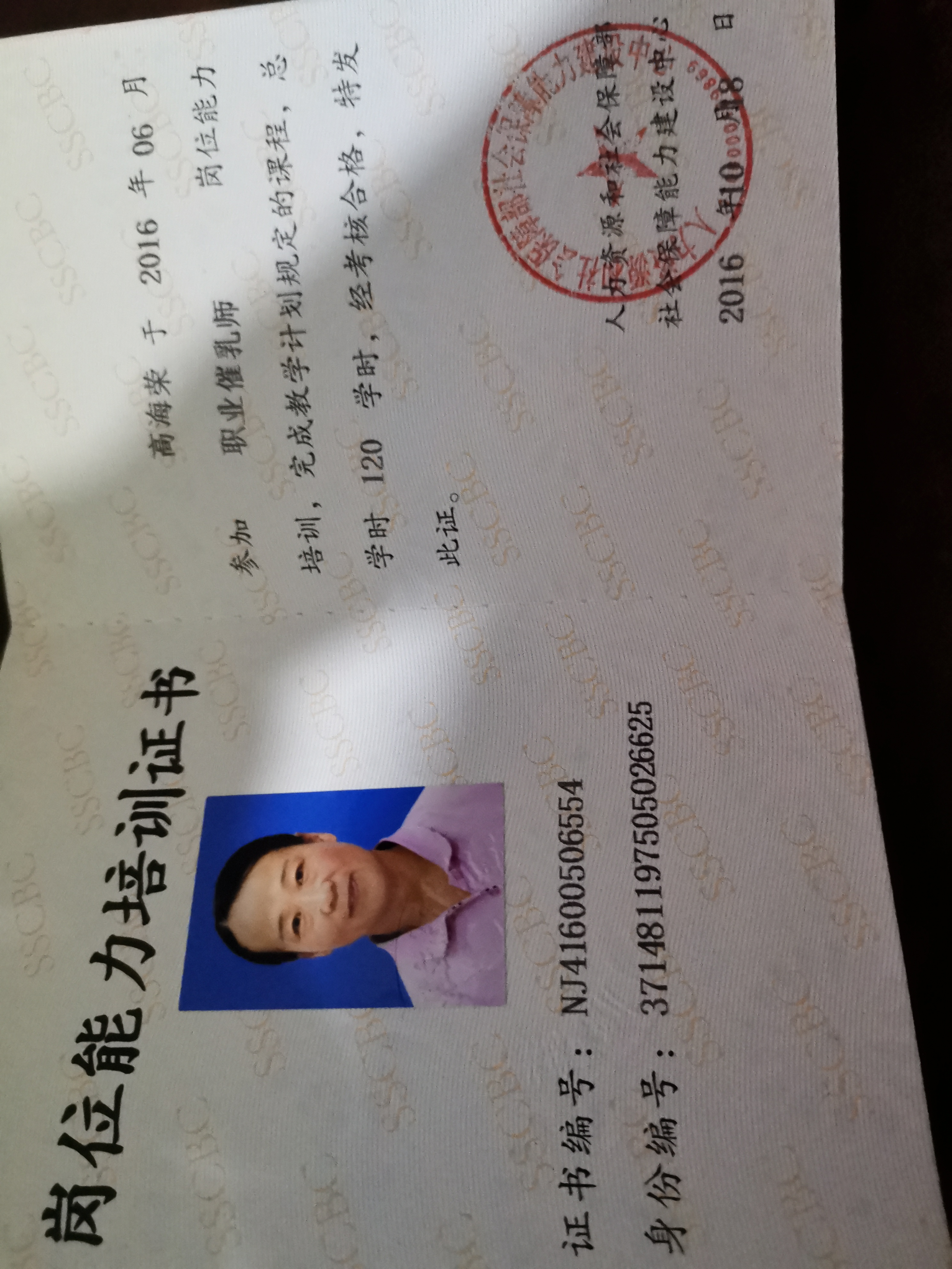 高阿姨职业证书5