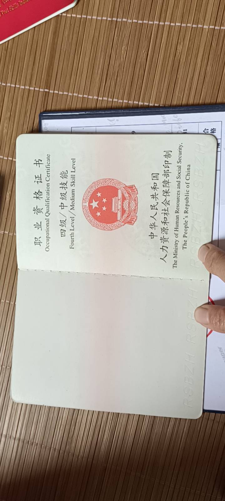 凌阿姨职业证书3