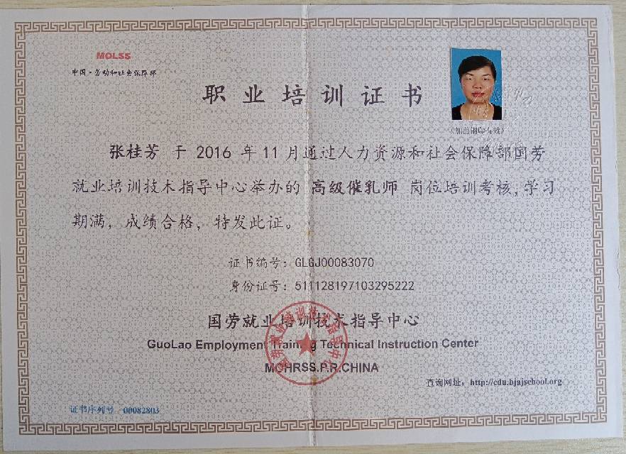 张阿姨职业证书4